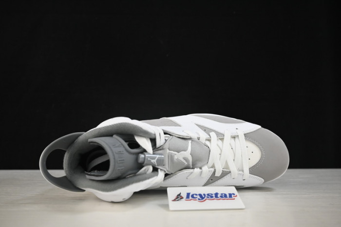 Air Jordan 6 "Cool Grey" CT8529-100