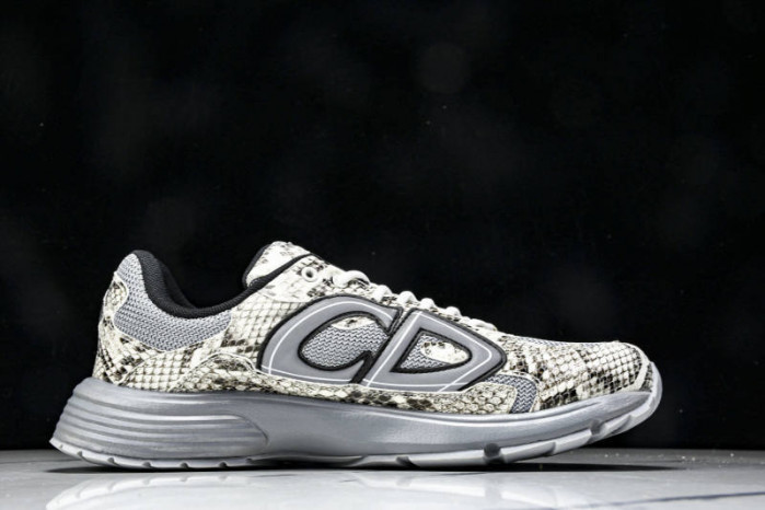 DIOR B30 SNEAKERS B30-000110