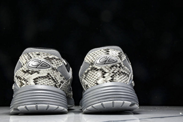 DIOR B30 SNEAKERS B30-000110