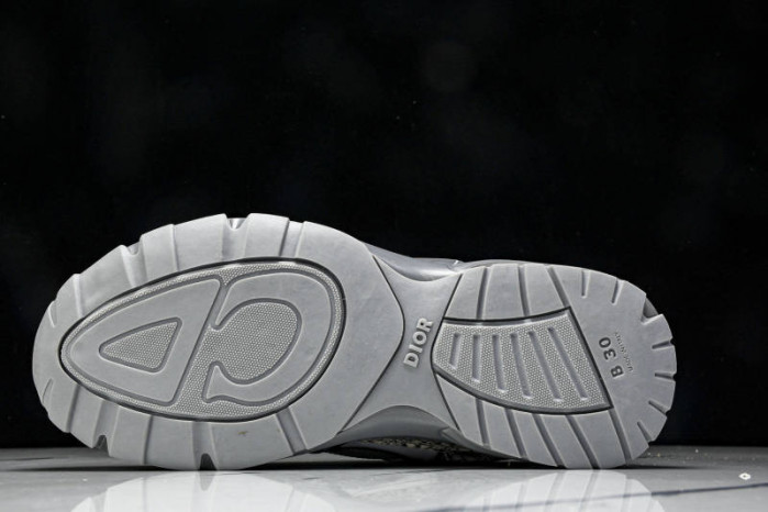 DIOR B30 SNEAKERS B30-000110