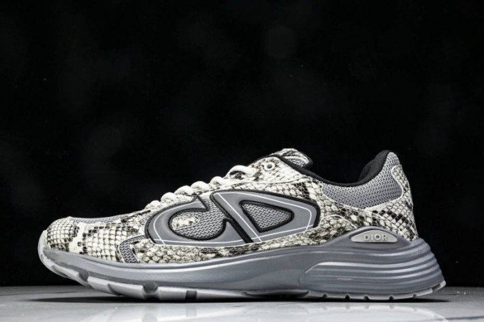DIOR B30 SNEAKERS B30-000110
