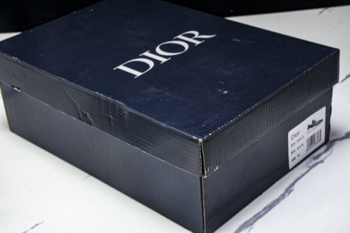 DIOR B30 SNEAKERS B30-000110