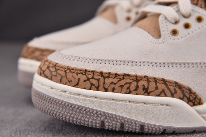 Air Jordan 3 "Palomino" CT8532-102