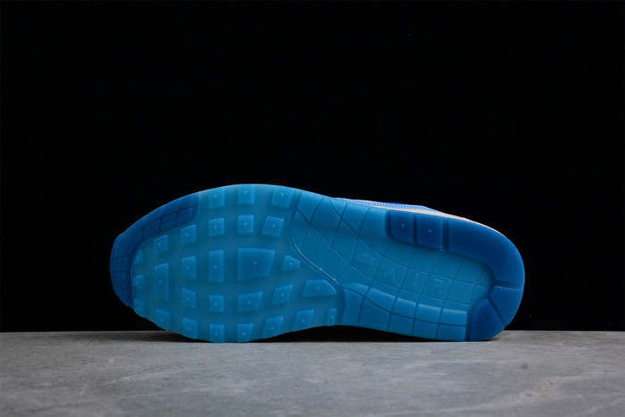 NIKE AIR MAX 1 PREMIUM 