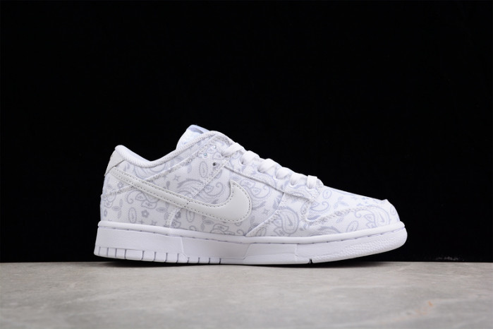 Nike Dunk Low DJ9955-100