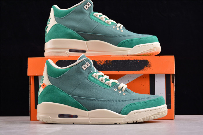 nina Ch*el abney x air jordan 3 