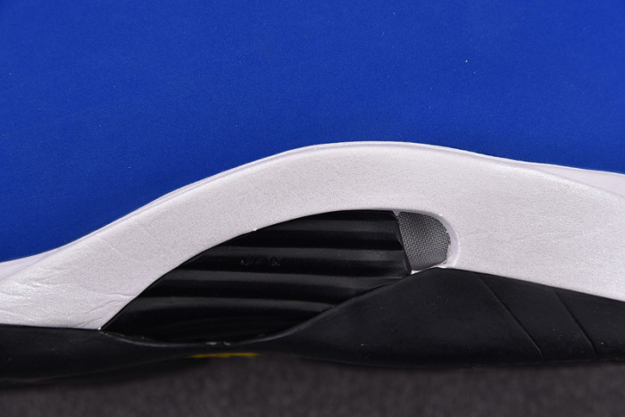 Jordan 14 Retro Laney 487471-407