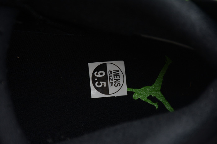 Air Jordan 6 “Electric Green” CT8529-003