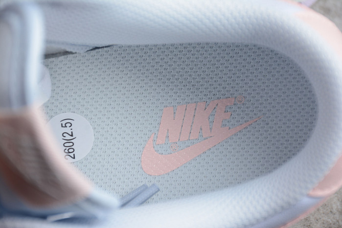 NIKE DUNK SB LOW PRO DD1503-001