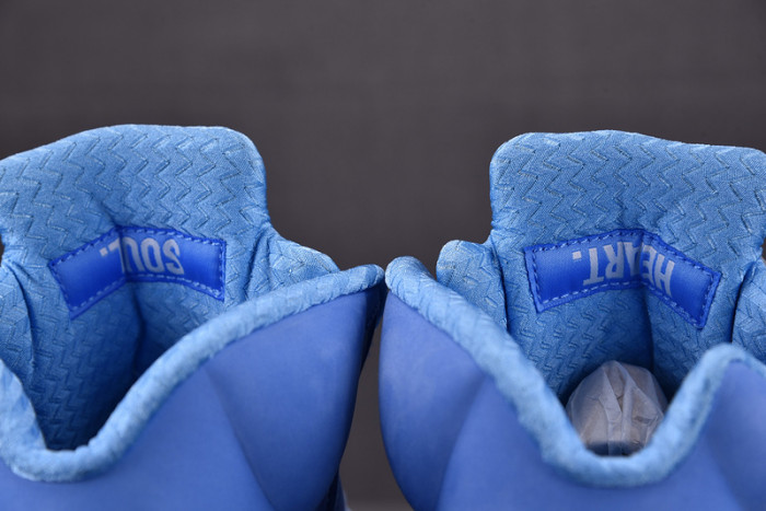Air Jordan 5 "UNC" DV1310-401