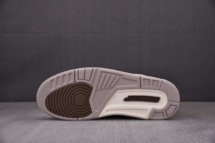 Air Jordan 3 "Palomino" CT8532-102