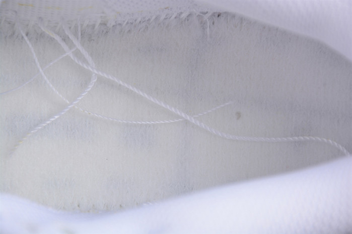 Nike Dunk Low DJ9955-100