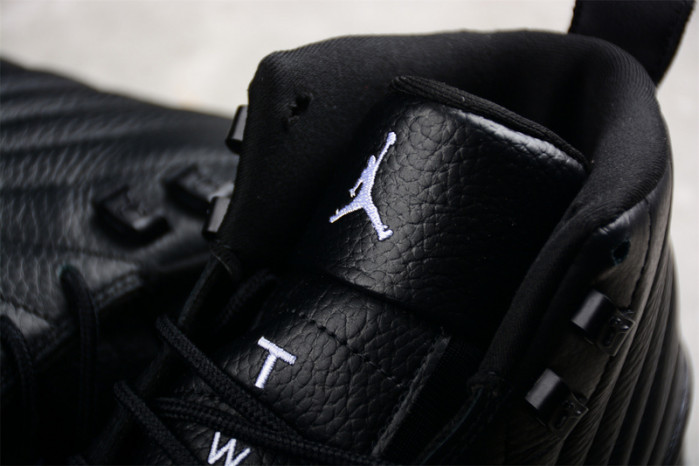 AIR JORDAN 12 BLACK WOLF GREY CT8013-019