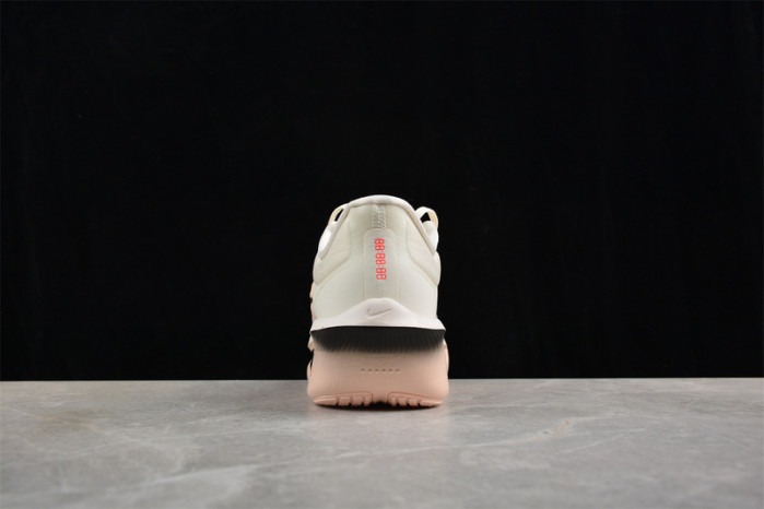 Zoom Fly 6 