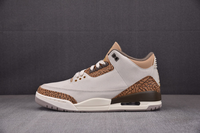Air Jordan 3 "Palomino" CT8532-102