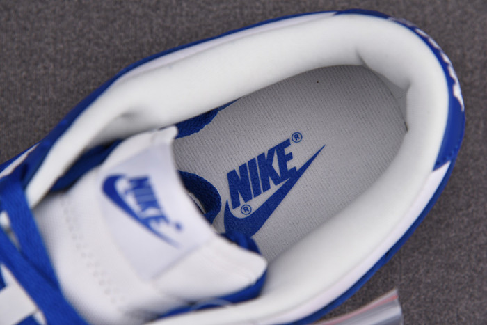 Nike dunk low sb kentucky CU1726-100