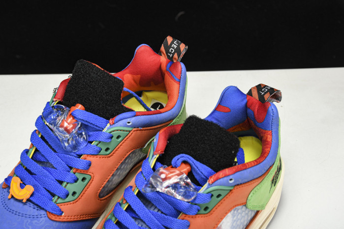 AIR JORDAN 5 LOW “DOERNBECHER” DR6287-486