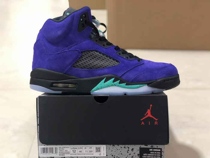 Air Jordan 5 Alternate Grape 136027-500