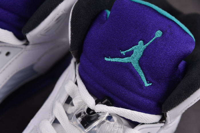 Air Jordan 5 Retro 