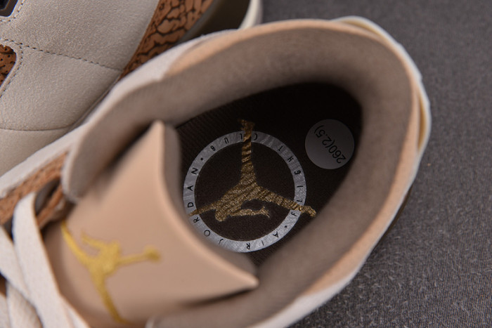 Air Jordan 3 "Palomino" CT8532-102