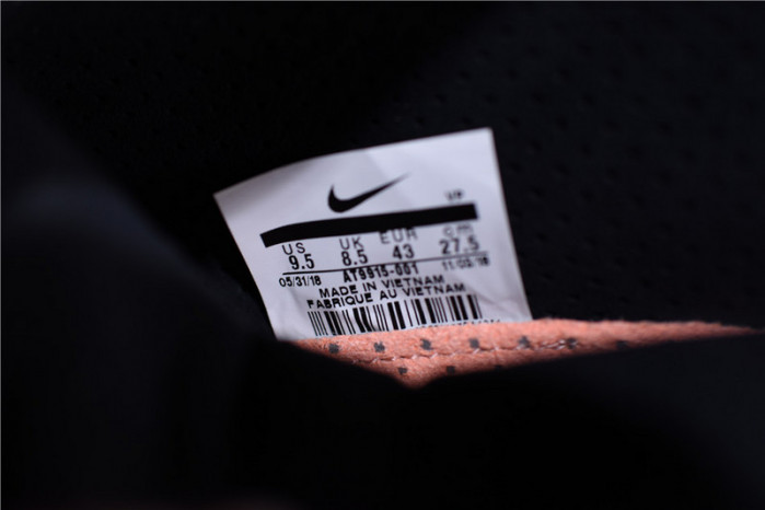 Air Fear Of God 1 SA Black AT9915-001