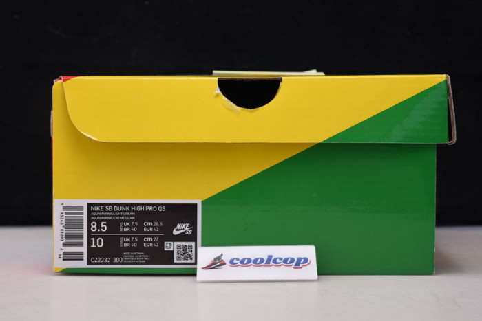 NIKE SB Dunk High Pro CZ2232-300