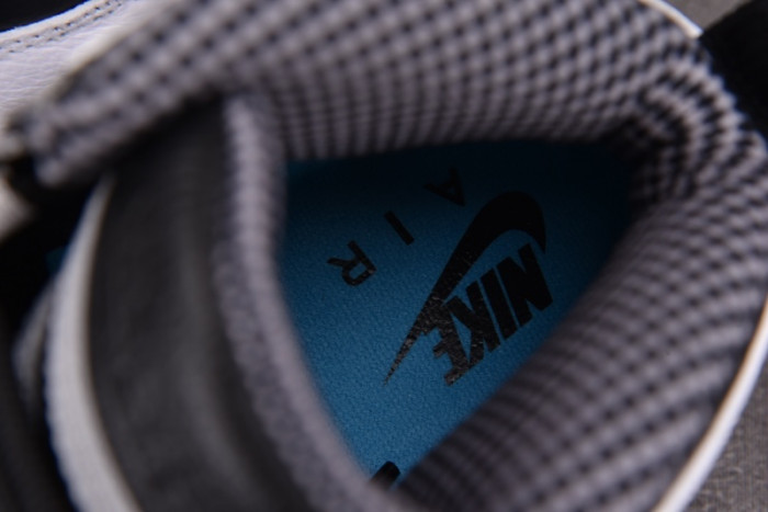 Air Jordan 10 Retro 