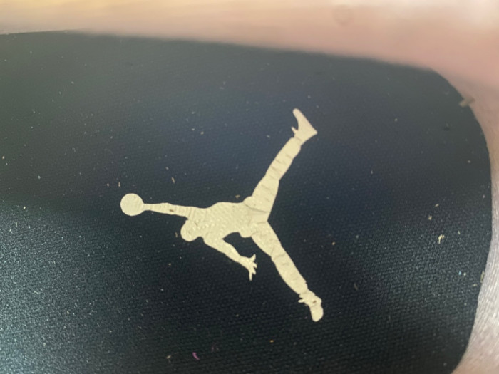 Air Jordan 1 Low SE 