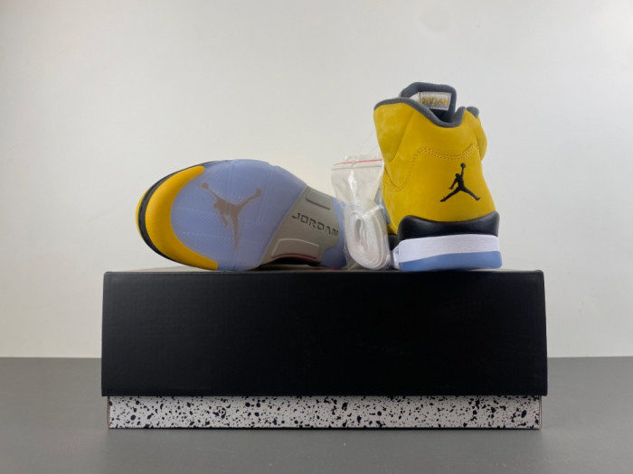 Air Jordan 5 Retro T23 